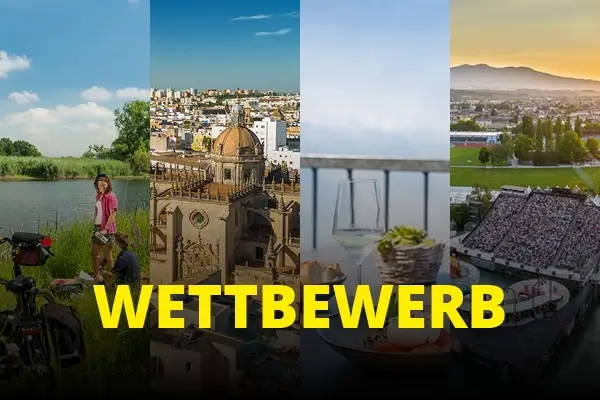 Select Dynamic field